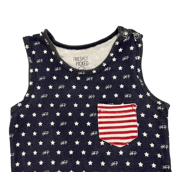 Freshly Picked 12m Patriotic Stars & Stripes Tank Bodysuit Onesie - Picture 2 of 5